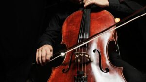 festival internacional de violoncello